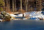 Winter Pond