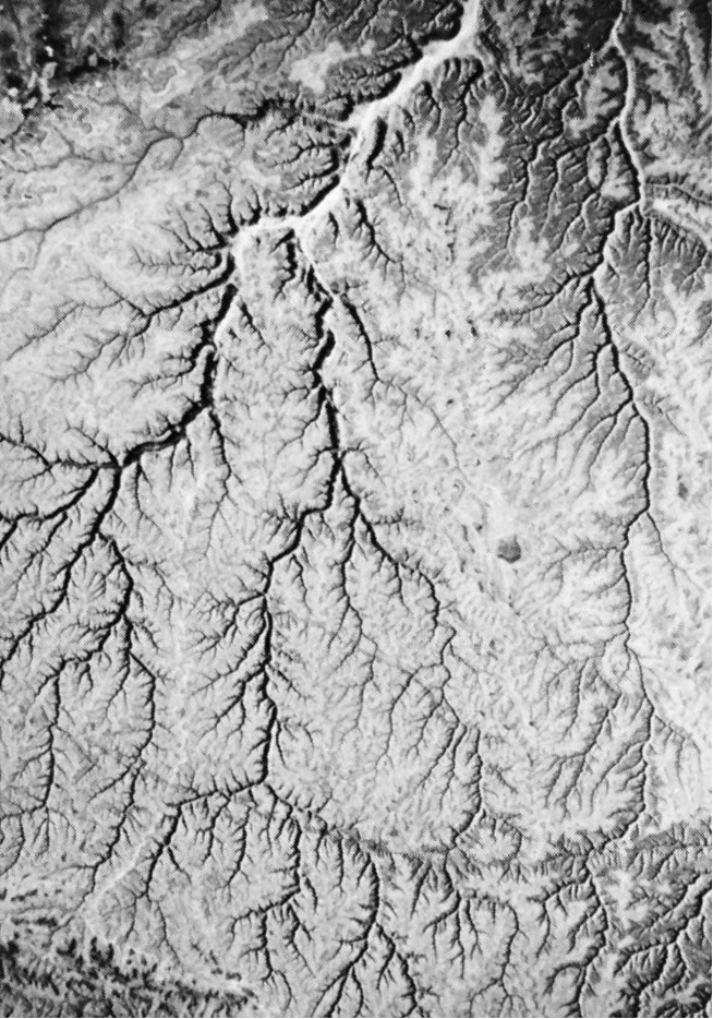 Dendritic Drainage Pattern